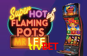 Programa VIP trvbet